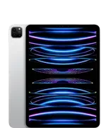 iPad Pro 11″ (4-го поколения)