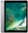 iPad Pro 12.9″ (2-го поколения)