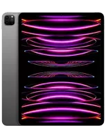iPad Pro 12.9″ (6-го поколения)