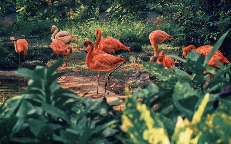 HUAWEI Mate X7 True-to-Colour camera photo graphy sample 2