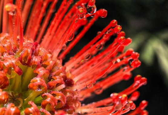 HUAWEI Mate X7 True-to-Colour camera photo graphy sample 4