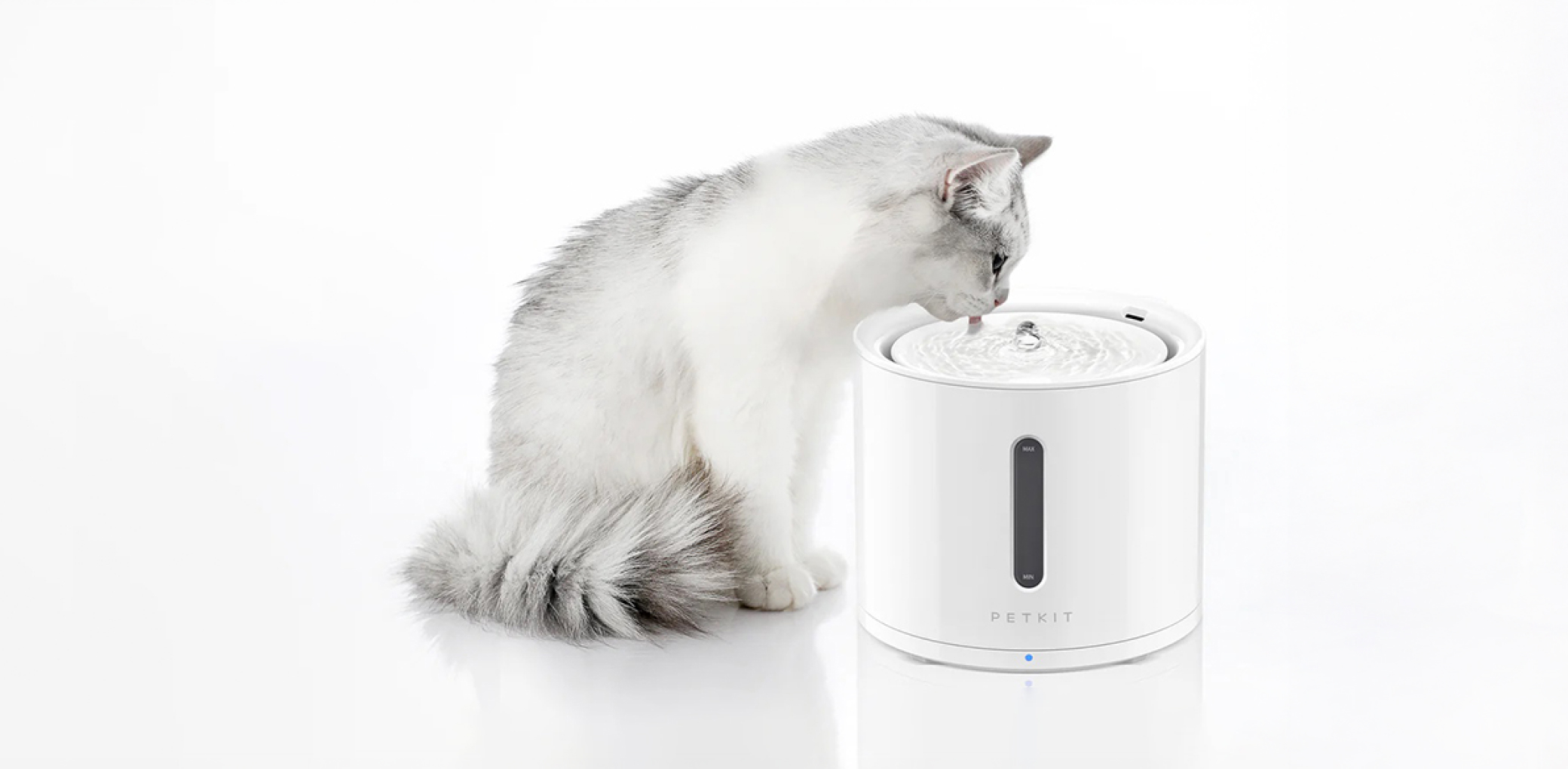 Технологичные решения для заботы о питомце