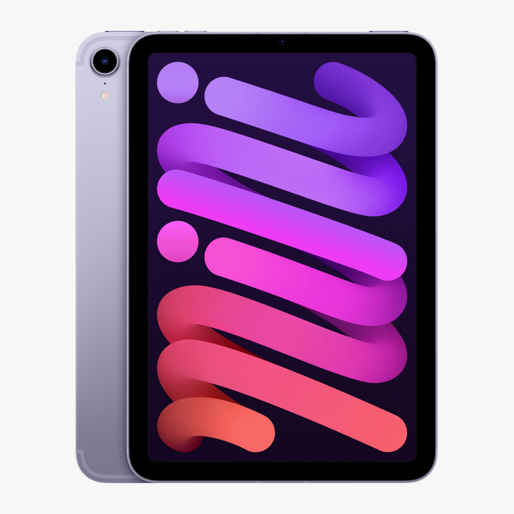 Купить Apple iPad mini (2021) Wi-Fi + Cellular 256 ГБ, фиолетовый ...
