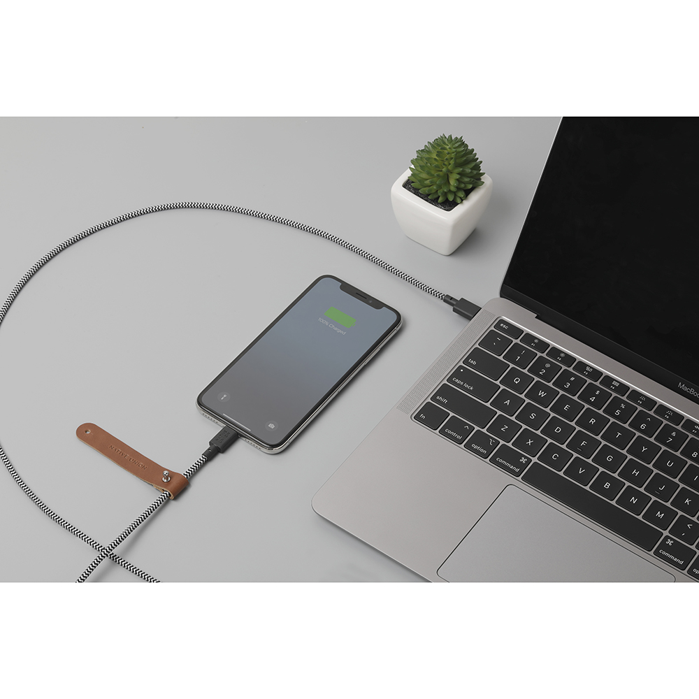 Кабель Native Union Belt Lightning/USB-C (1,2 м), зебра Вид№3