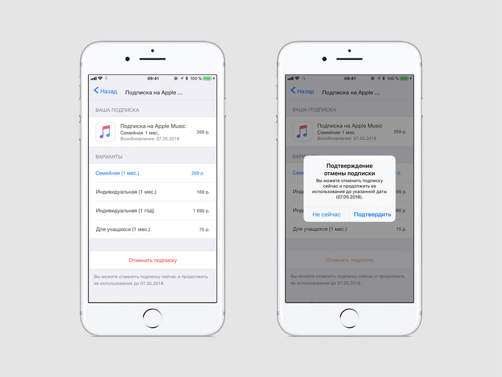 Подписка в мобильном приложении. Подписки Apple. Управление подписками на iphone. Подписки в айфоне. Отменить подписку на айфоне.