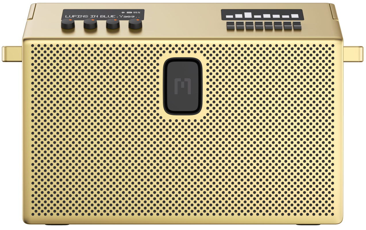 Акустика портативная Mondo by Defunc BT Speaker Large, золотой