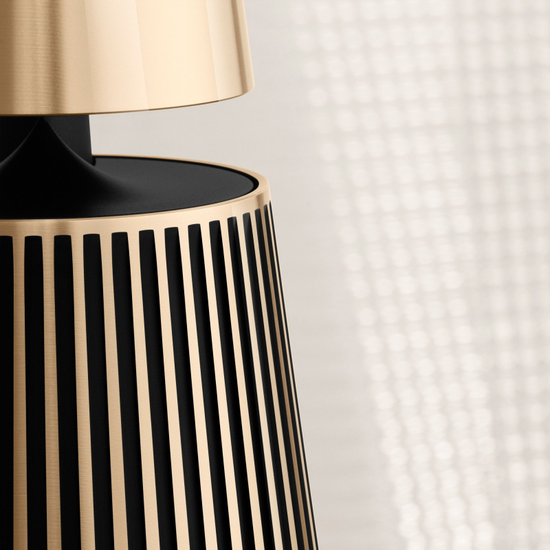 Акустическая система Bang & Olufsen Beosound 2 (3-е поколение), золотой Фото-4