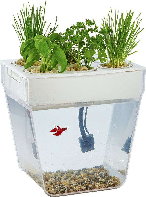 Акваферма Назад К Истокам AquaFarm, белый