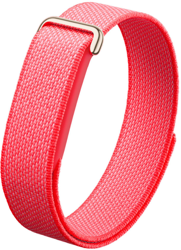 Google Fitbit Air Berry