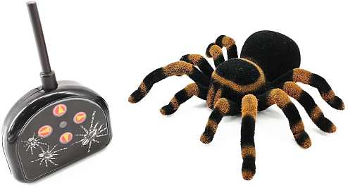 Радиоуправляемый тарантул EDU-TOYS Spider Tarantula, черный