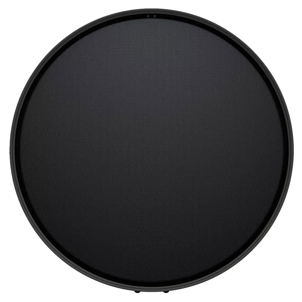 

Мультирум колонка Defunc HOME LARGE, черный